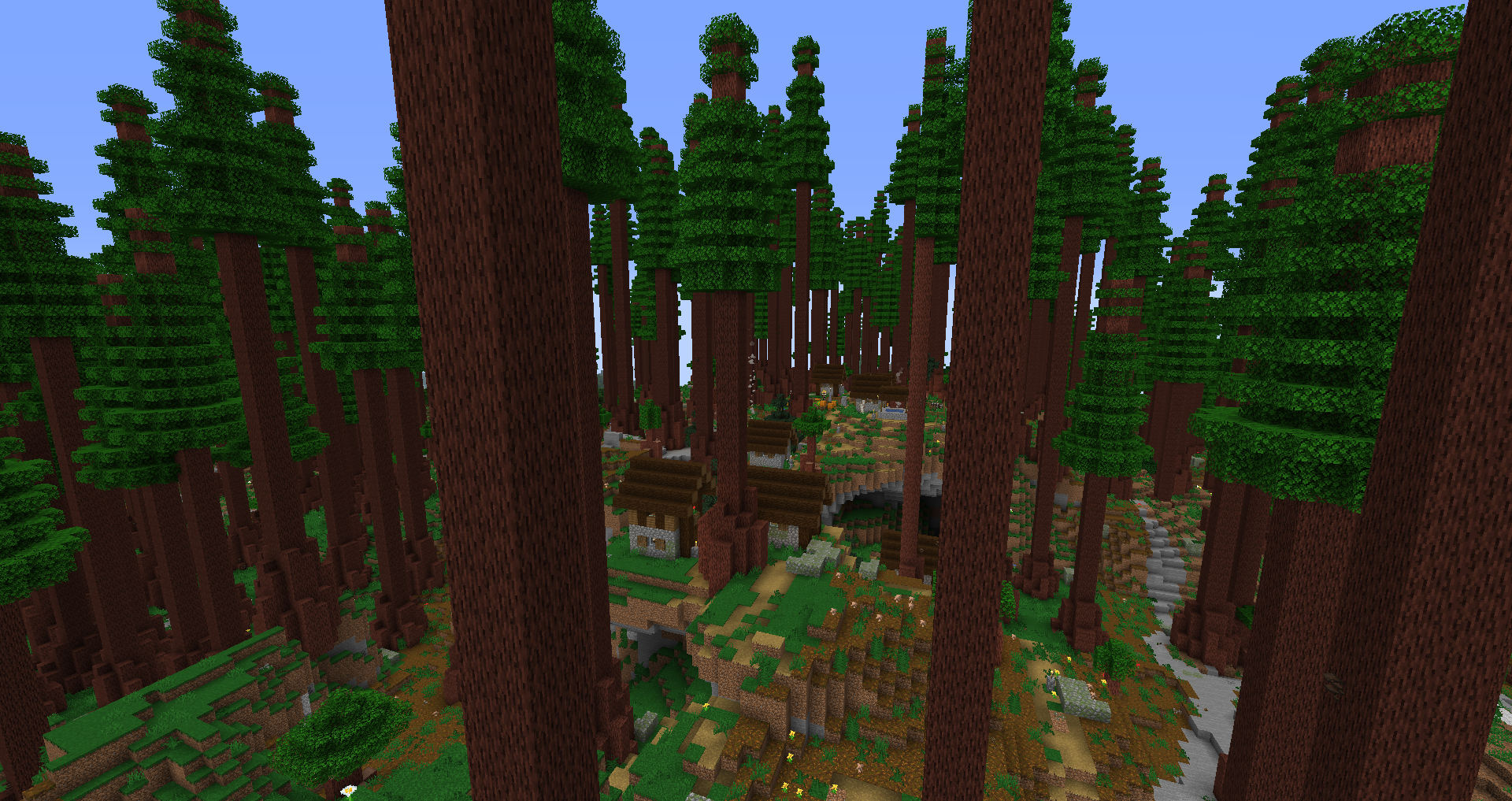 redwood_tree