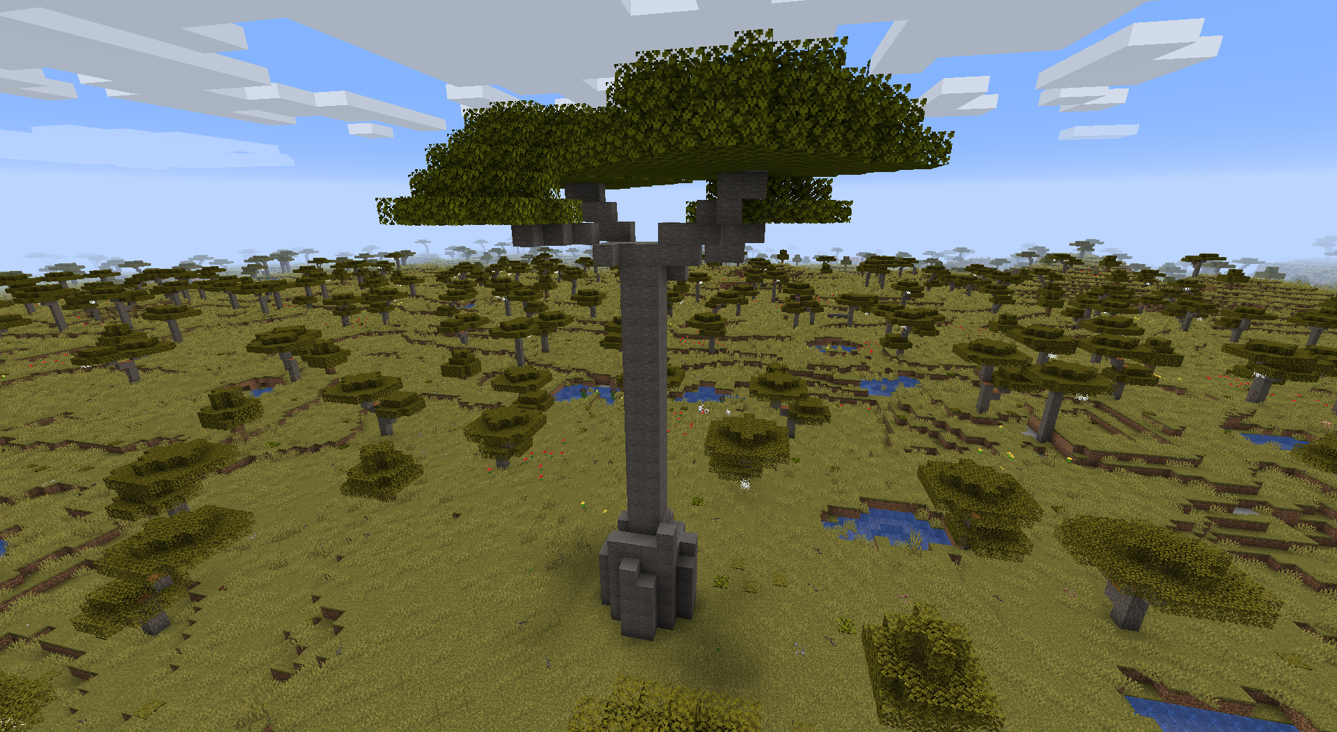 baobab_tree