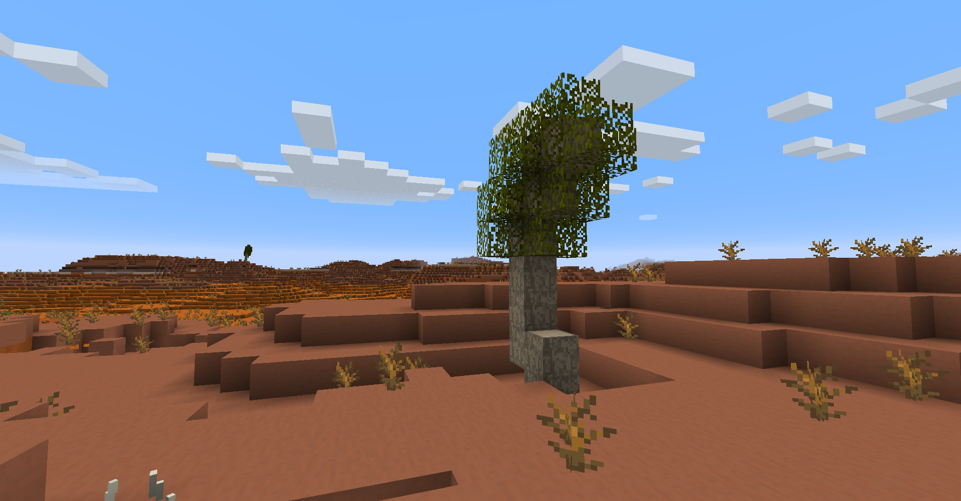 juniper_tree