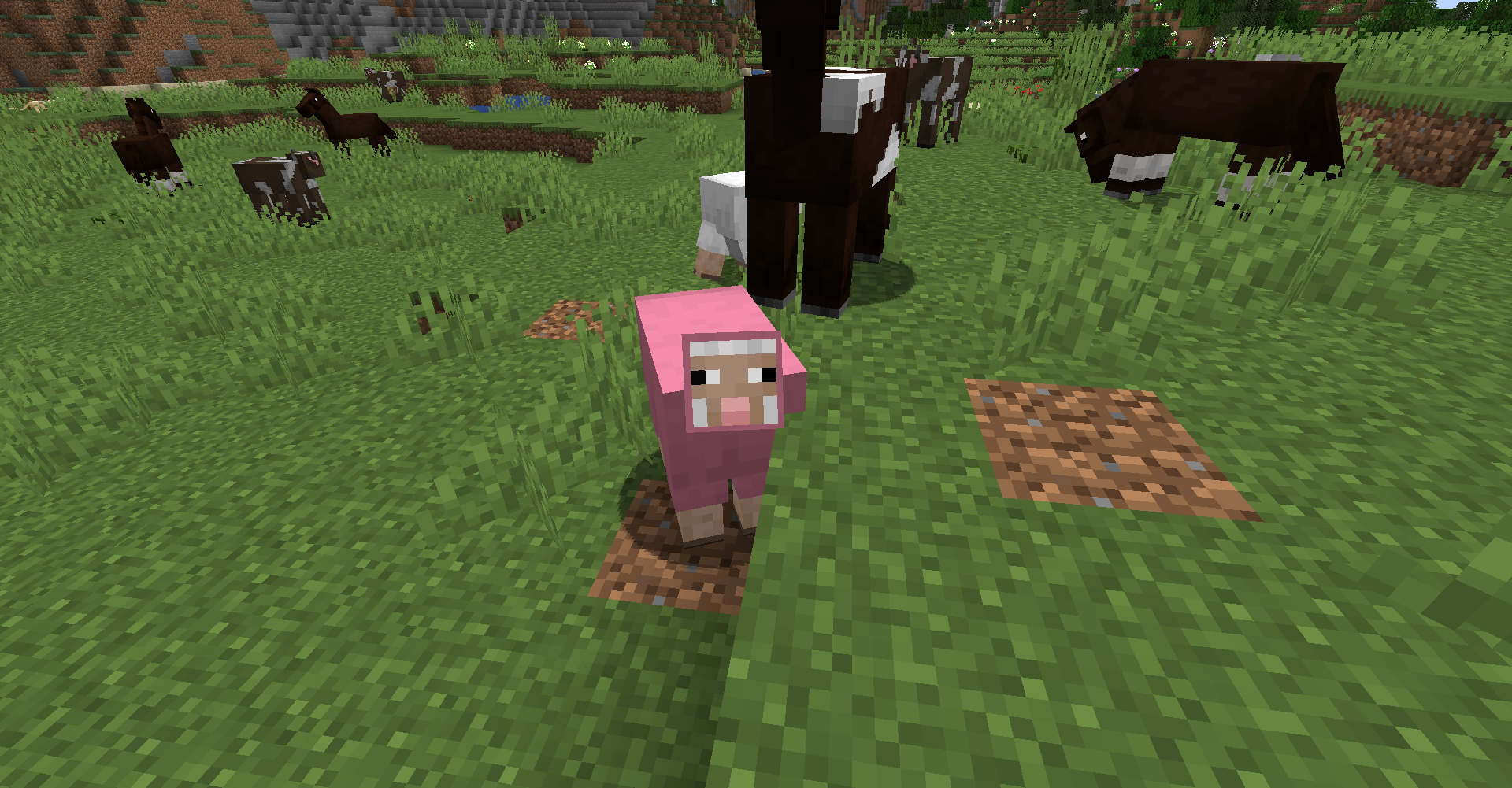 pink_sheep