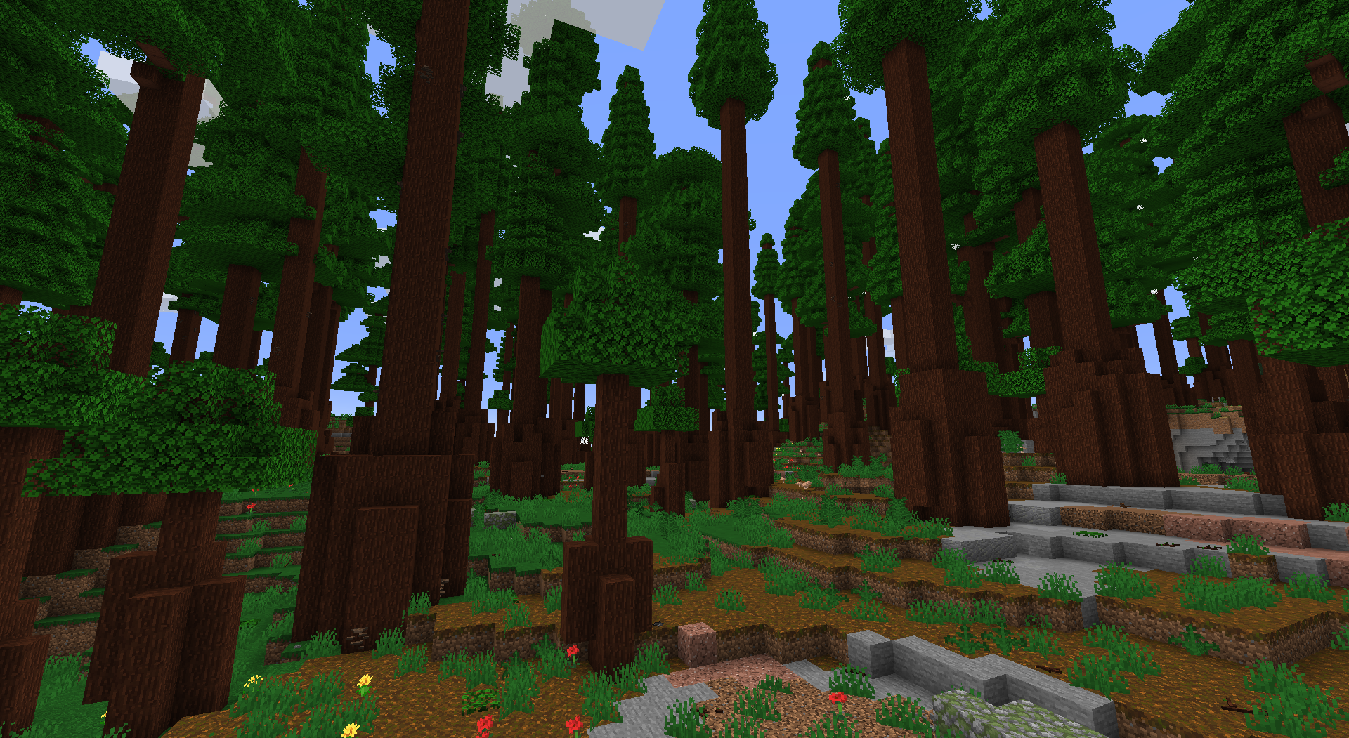 redwood_tree