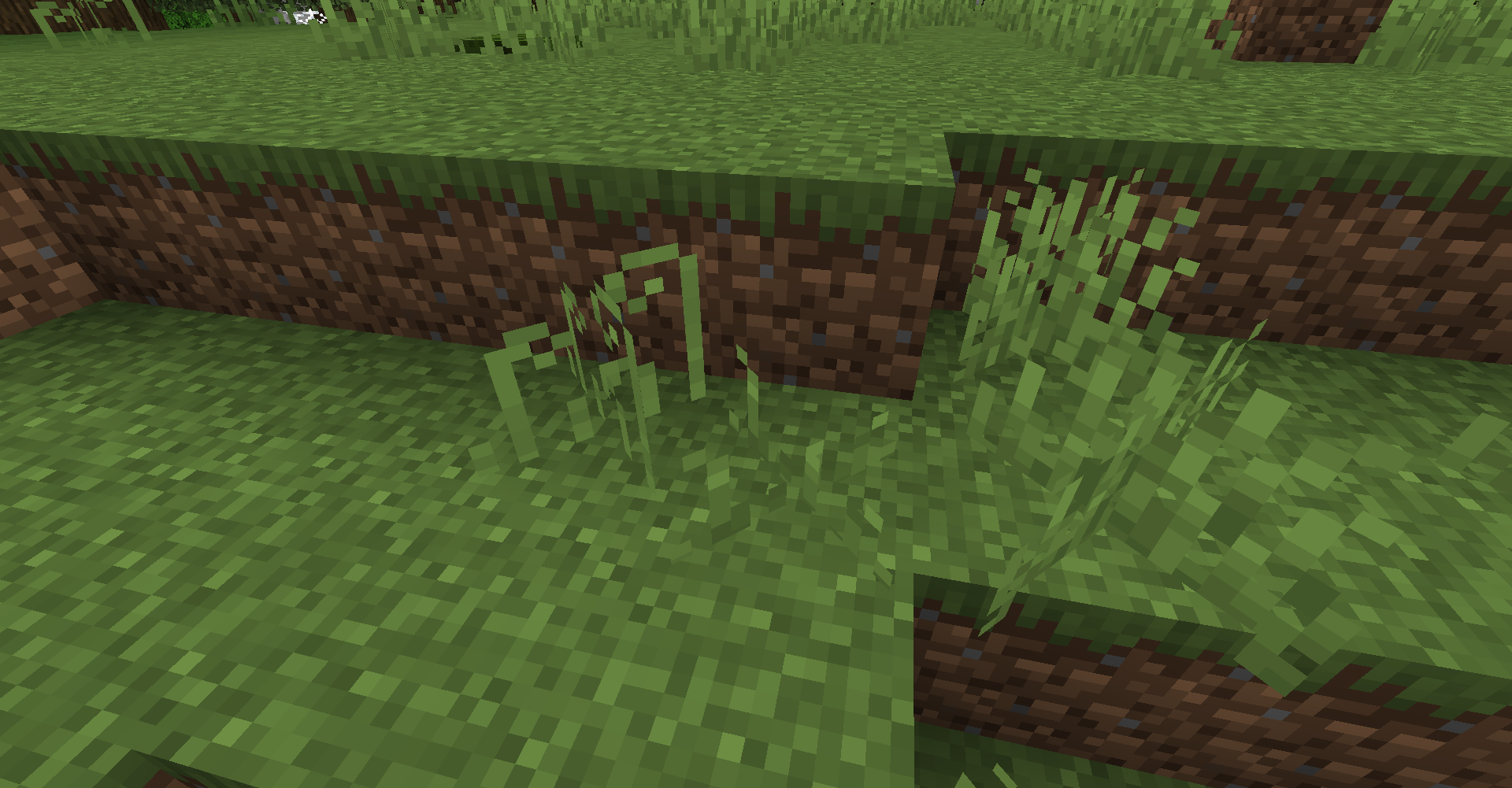 short_grass